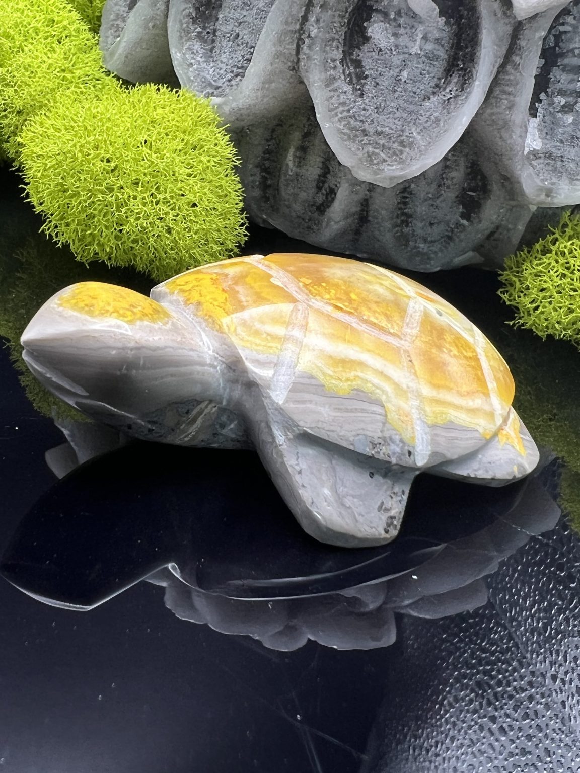 Bumble Bee Jasper Turtles