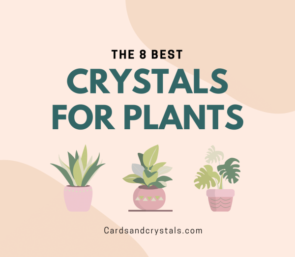 8 Best Crystals for Plants Healing from Near Death